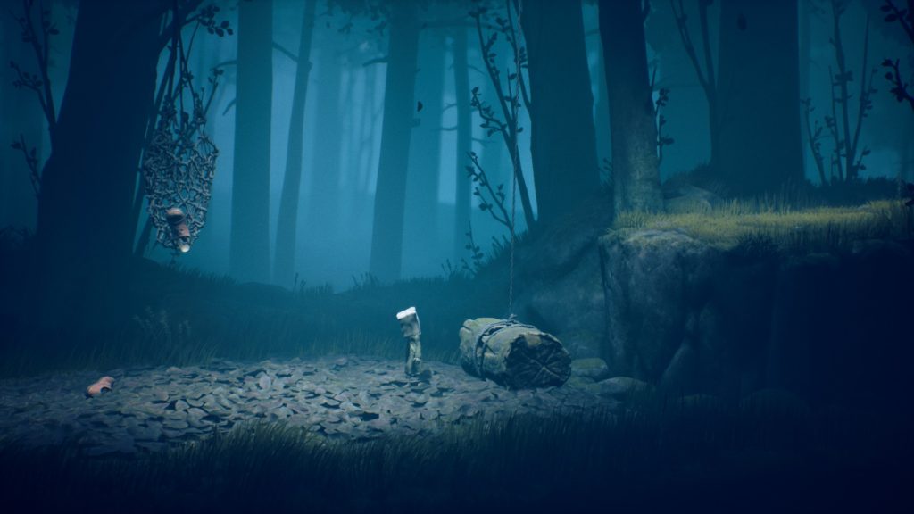 A small boy wanders in the forest. 