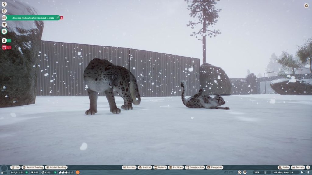 Mother and cub snow leopard in the snow. Hud included for game. 